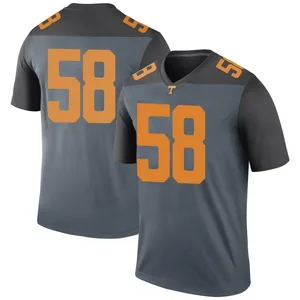 Herb Gray Nike Tennessee Volunteers Men's Legend College Jersey - Gray