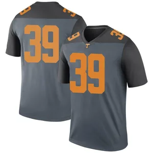 Toby Wilson Nike Tennessee Volunteers Youth Legend College Jersey - Gray